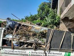 Demolition Debris Removal in Capitol View, SC